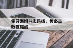 半岛体育APP-霍芬海姆斗志昂扬，势必击败汉诺威